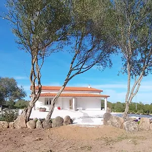 Casa vacanze - Alebea -, Olbia